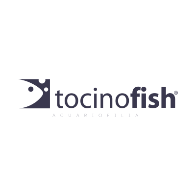 TOCINO FISH