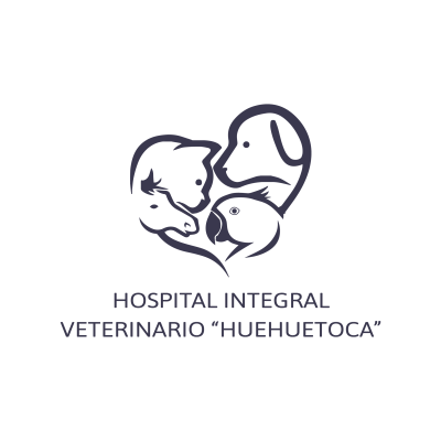 HOSPITAL VET